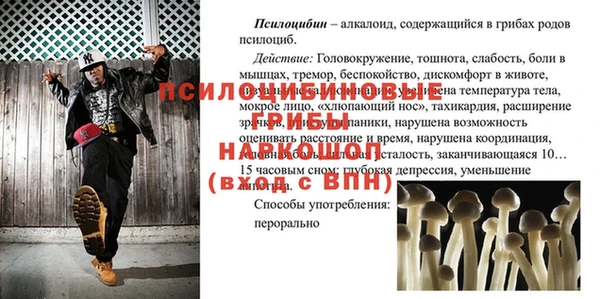 стафф Тутаев