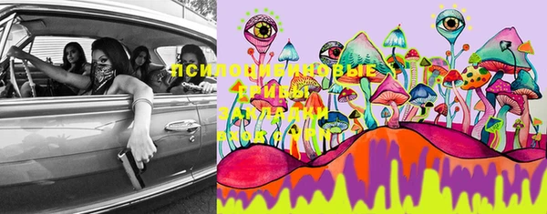 стафф Тутаев